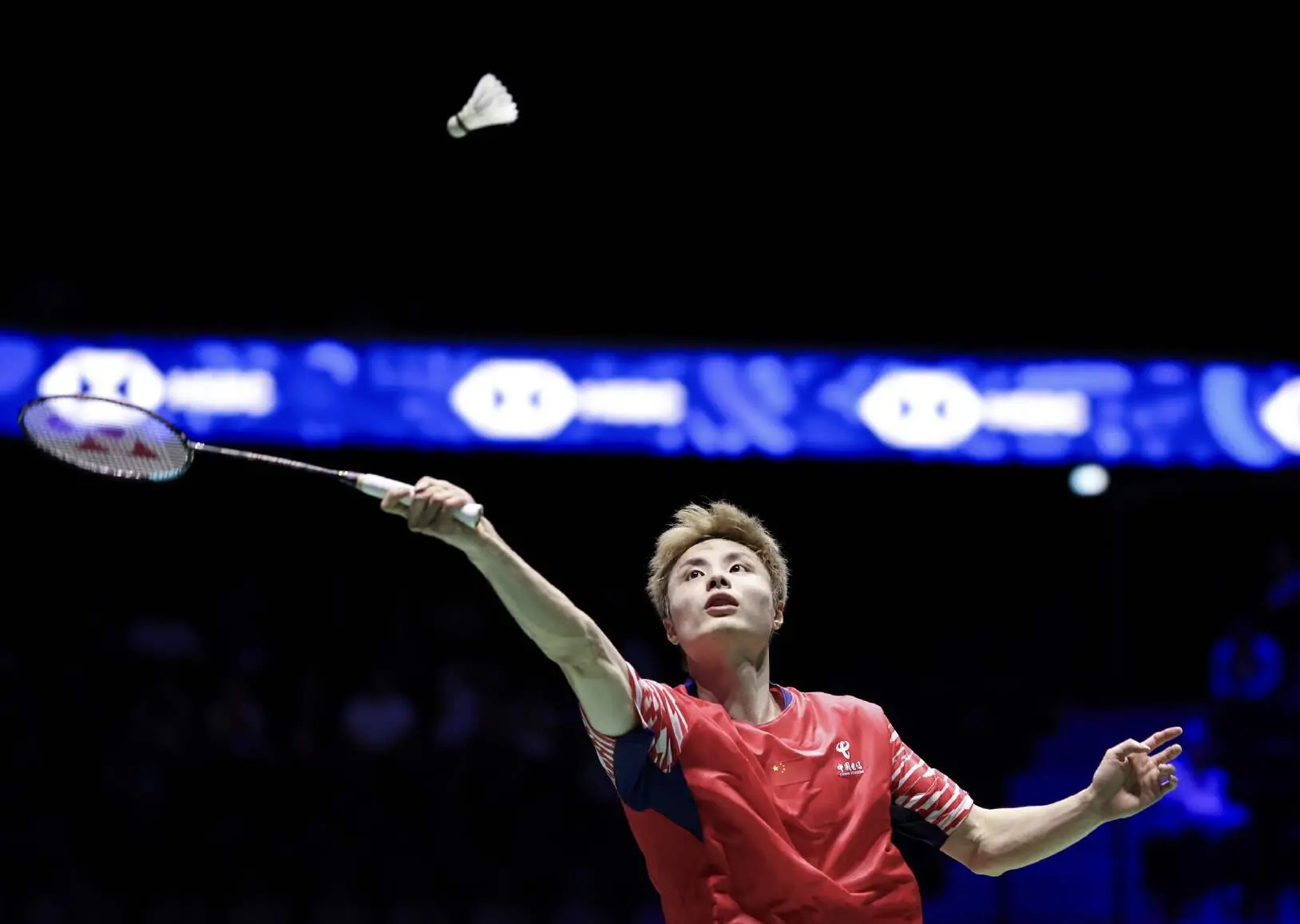 两对国羽男 两对国羽男